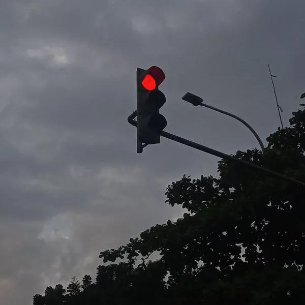 Đèn tín hiệu giao thông xanh đỏ vàng D300