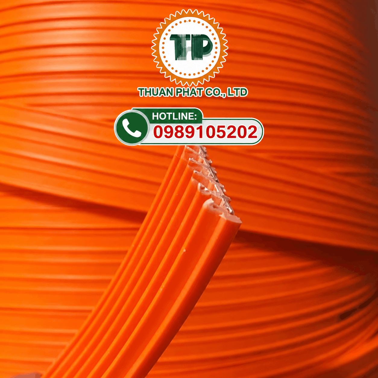 Ray điện an toàn – Giải pháp cấp điện liên tục cho hệ thống cầu trục, cổng trục Ray điện an toàn – Giải pháp cấp điện liên tục cho hệ thống cầu trục, cổng trục