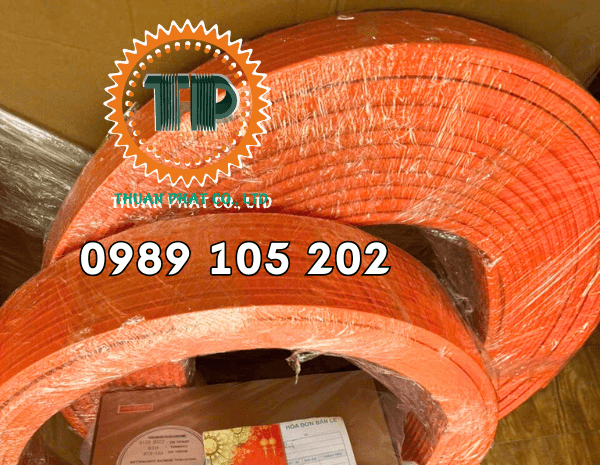 Ray điện an toàn cầu trục Kyec Ray điện an toàn cầu trục Kyec