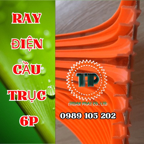Ray điện cầu trục Ray điện cầu trục