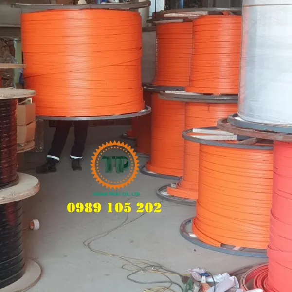 Ray điện an toàn cầu trục