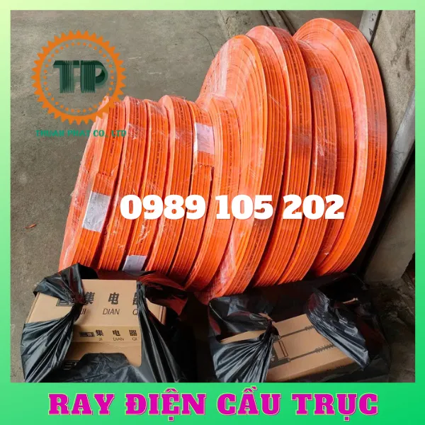 Ray điện cầu trục 3P-100A 