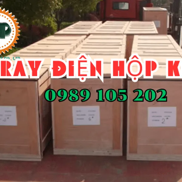 Ray điện hộp 4P50A