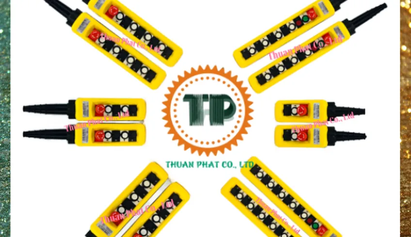 Remote cầu trục