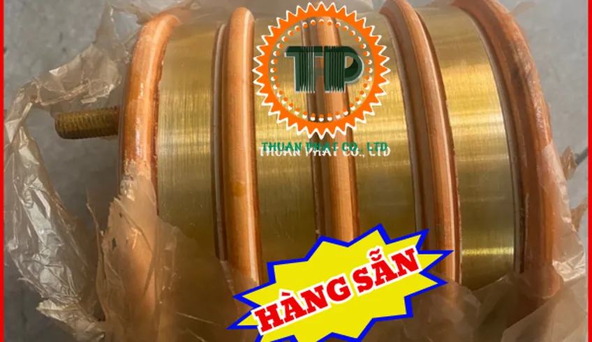 Vòng cổ góp điện 4 pha lỗ 60 có nghĩa gì?