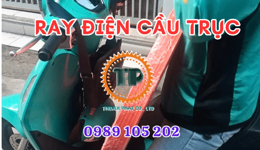 Ray điện an toàn cầu trục hiệu I.T.S