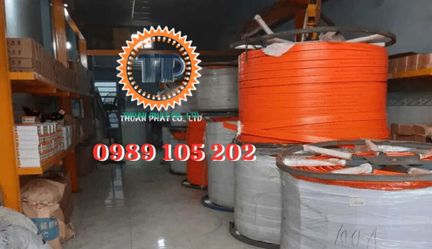 Ray điện cầu trục 3P-100A sự lựa chọn hàng đầu cho cầu trục