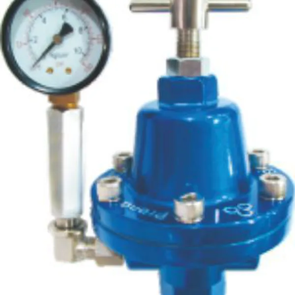 Bộ điều áp sơn ra Prona RPR-10