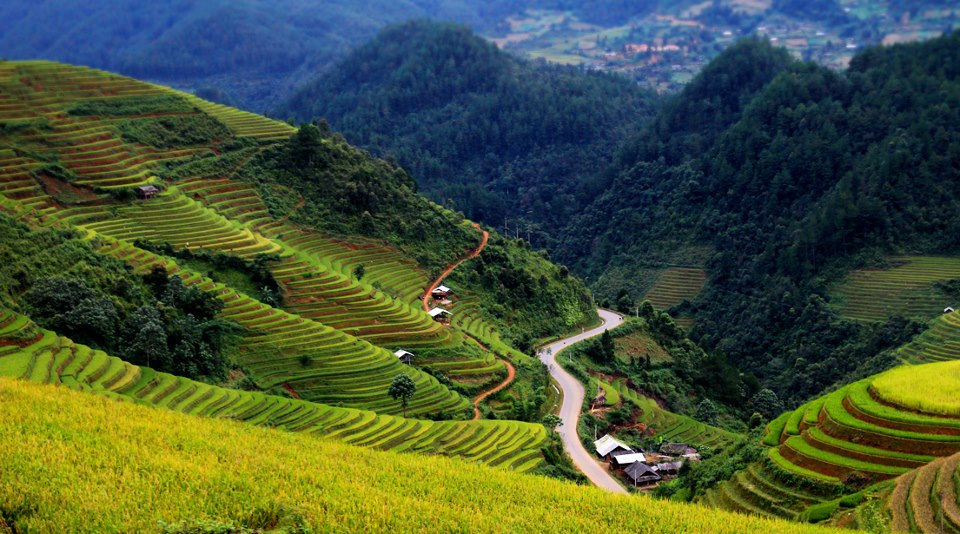 Đặt mua vé tàu đi Sapa không hề khó Đặt mua vé tàu đi Sapa không hề khó