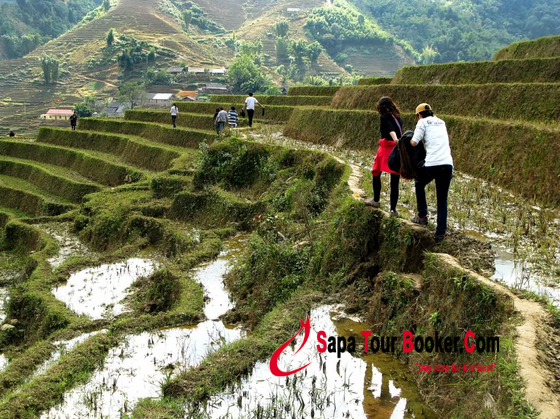 Du lịch bụi Sapa trải nghiệm thú vị dành cho tất cả chúng ta Du lịch bụi Sapa trải nghiệm thú vị dành cho tất cả chúng ta