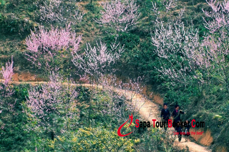 Du lịch Sapa cần mang theo những gì đã không còn là vấn đề khó khăn đối với du khách nữa Du lịch Sapa cần mang theo những gì đã không còn là vấn đề khó khăn đối với du khách nữa