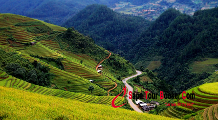 Nên lựa chọn tour du lịch Sapa giá rẻ tại những công ty lữ hành uy tín Nên lựa chọn tour du lịch Sapa giá rẻ tại những công ty lữ hành uy tín