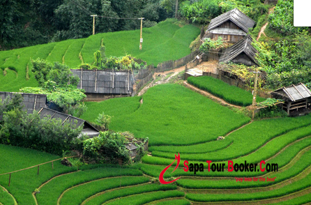 Nhiều du khách thường băn khoăn vì không biết nên mang theo những gì khi đi du lịch Sapa Nhiều du khách thường băn khoăn vì không biết nên mang theo những gì khi đi du lịch Sapa