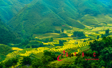 Du lịch Sapa Điện Biên cơ hội thưởng ngoạn núi trời Tây Bắc dành cho du khách Du lịch Sapa Điện Biên cơ hội thưởng ngoạn núi trời Tây Bắc dành cho du khách
