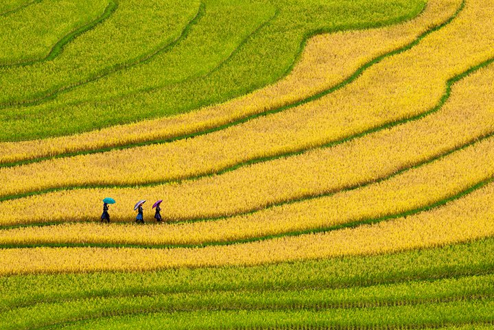 Du lịch Sapa mùa thu Du lịch Sapa mùa thu