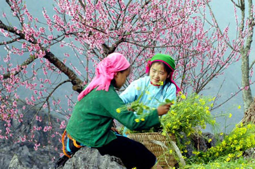 Du lịch Sapa vào dịp tết nguyên đán mang đến cho du khách nhiều trải nghiệm tuyệt vời về vùng đất và con người nơi đây Du lịch Sapa vào dịp tết nguyên đán mang đến cho du khách nhiều trải nghiệm tuyệt vời về vùng đất và con người nơi đây