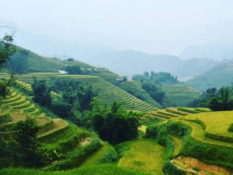 Sapa Trekking  (1 day)