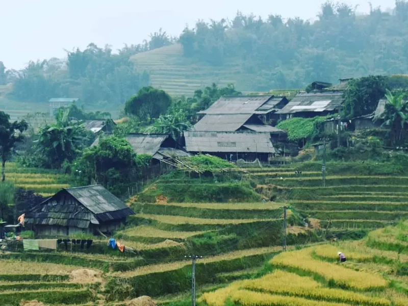Sapa - Fansipan - Cat Cat - Lao chai-Ta Van (Hotel)