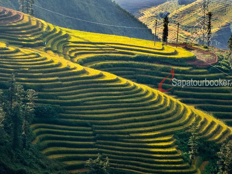 SAPA-CÁT CÁT-HÀM RỒNG 2 NGÀY 1 ĐÊM (KHÁCH SẠN)