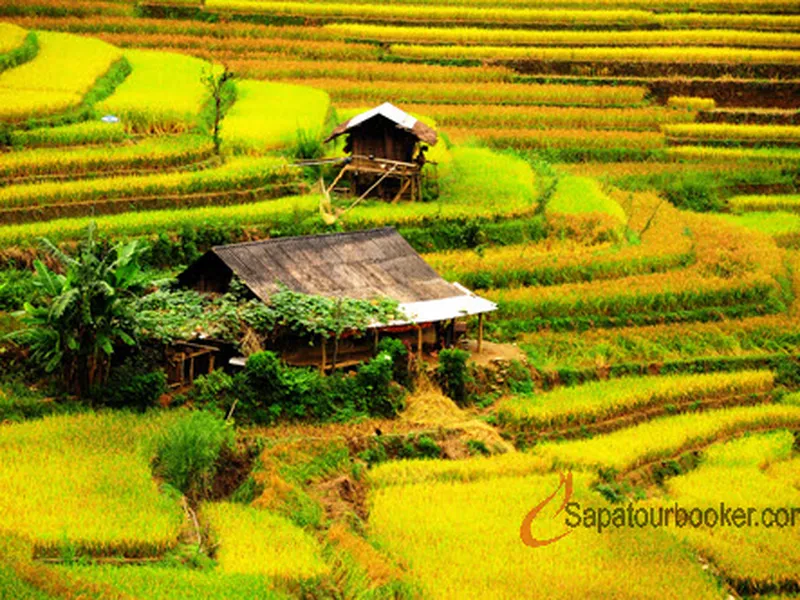 SAPA - BAC HA MARKET 3 DAYS 2 NIGHTS (HOTEL)