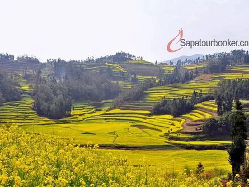 SAPA - CAT CAT - HAM RONG -FANSIPAN -3 NGÀY 2 ĐÊM (KHÁCH SẠN)