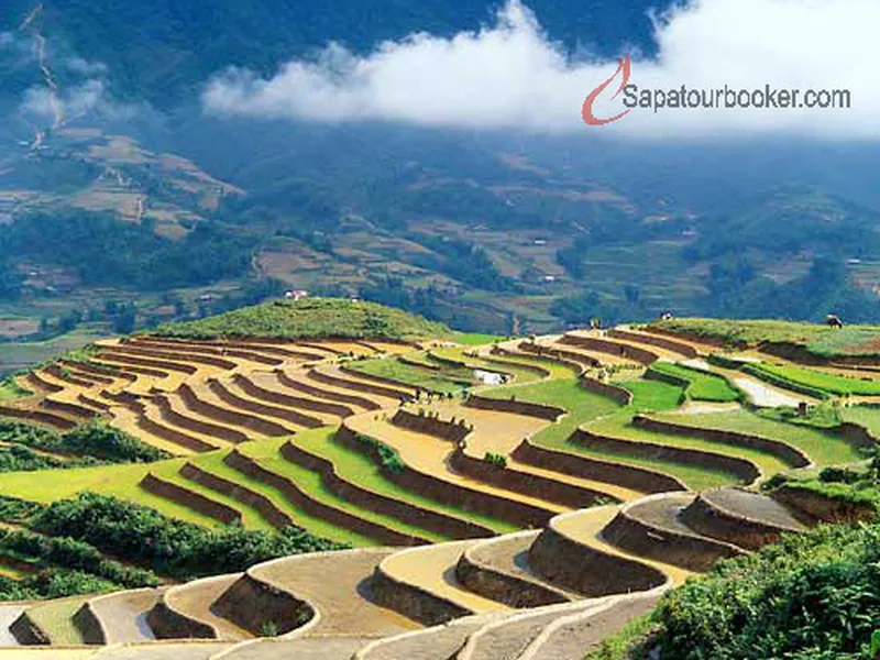 SAPA - CAT CAT- FANSIPAN - HAM RONG ( 2 NGÀY - 2 ĐÊM KHÁCH SẠN)