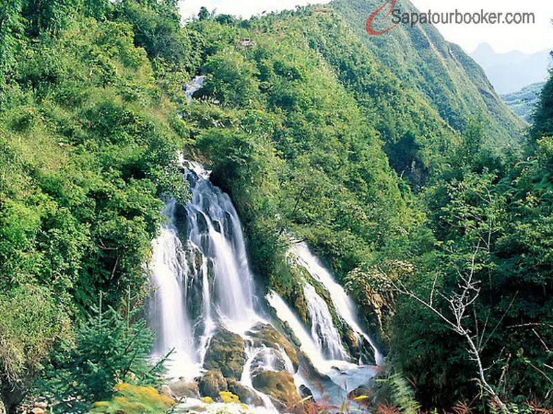 Sapa - Bac Ha Market ( 2 days 1 nights)