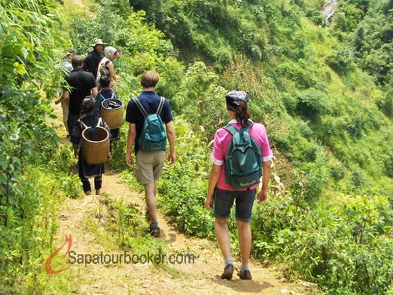 Sapa - Lao Chai - Ta Van - Giang Ta Chai ( 2 days 1 night - Homestay)