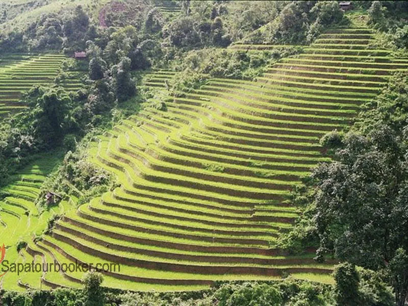 Sapa - Lao Chai - Ta Van - Giang Ta Chai ( 2 days 1 night - Homestay)