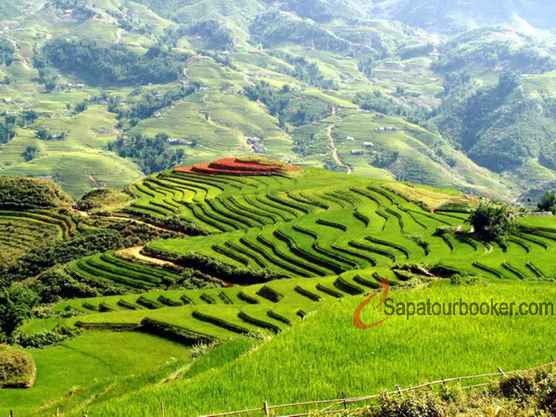 Sapa - Bac Ha Market ( 2 days 1 nights)