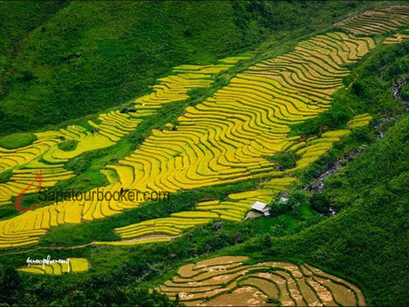 Sapa - Lao Chai - Ta Van - Giang Ta Chai ( 2 days 1 night - Homestay)