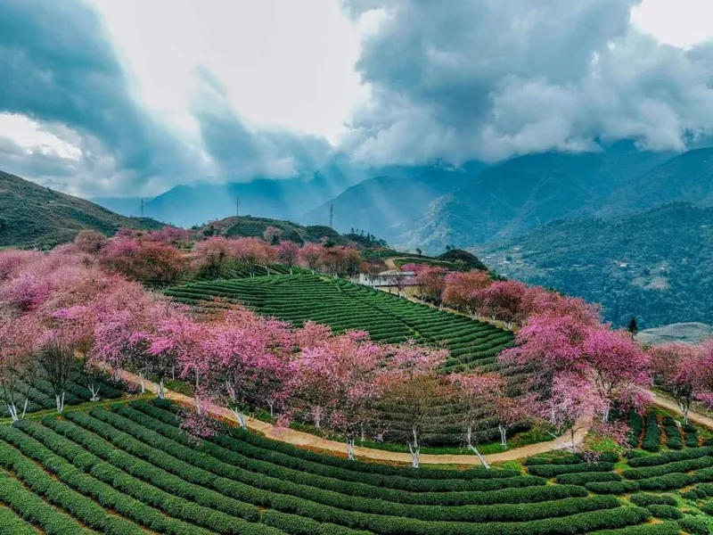 Sapa - Cat Cat - Lao Chai - Ta Van ( 3 days 3 nights) - 1 Night Hotel & 1 Night Homestay