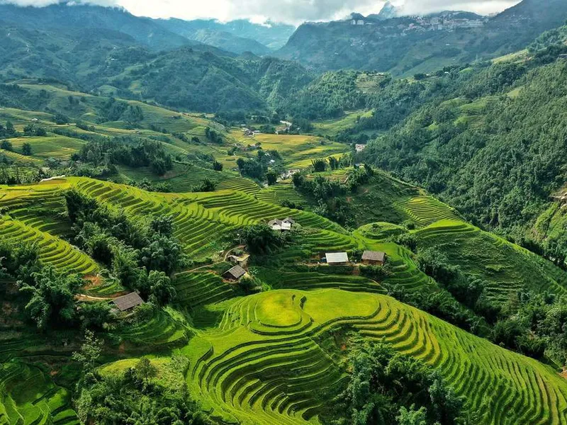 Sapa - Fansipan - Cat Cat - Lao chai-Ta Van (Hotel)