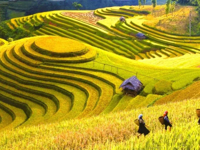 Sapa 3 days 2 nights (1 night hotel - 1 night homestay)