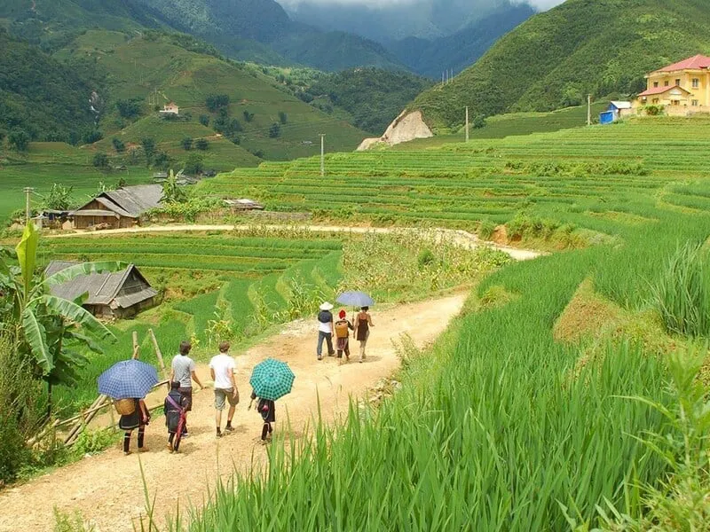 Sapa Trekking  (1 day)