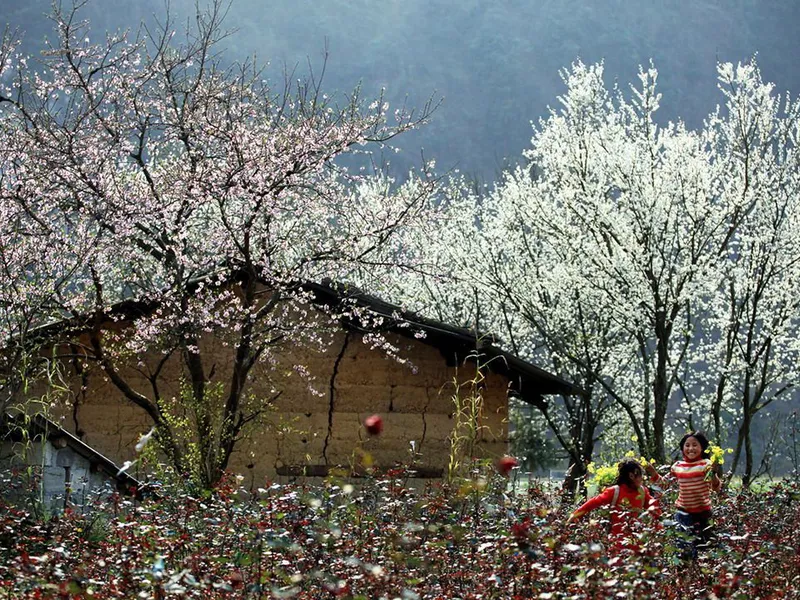 Sapa-Fansipan 3 days 3 nights(2 nights hotel)