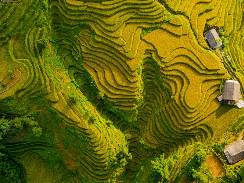 HÀ NỘI- SAPA - BẮC HÀ 3 NGÀY 2 ĐÊM (KHỞI HÀNH THỨ 6)