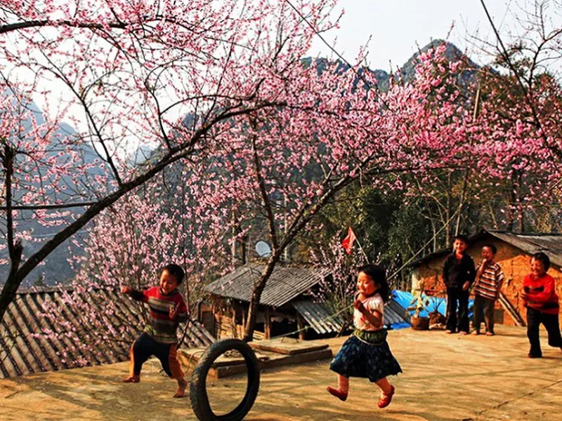 DU LỊCH GHÉP HẠ LONG - SAPA 3 NGÀY 3 ĐÊM GIÁ RẺ BẰNG Ô TÔ