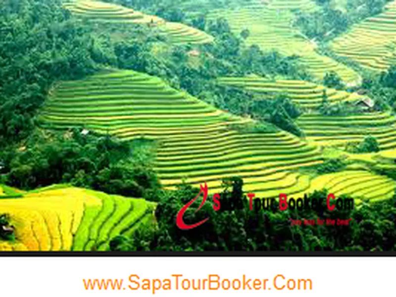 3 Day Biking Trip from Sapa to Binh Lu - Ban Hon - Tam Duong - Paso