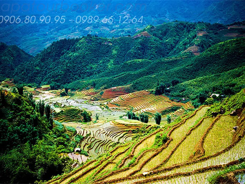 DU LỊCH SAPA - CHỢ BẮC HÀ 3 NGÀY 3 ĐÊM BẰNG Ô TÔ