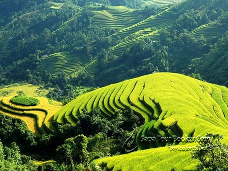 HÀ NỘI - SAPA - HÀ KHẨU - HÀ NỘI