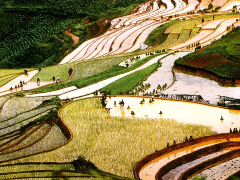 Du lịch Sapa lặng lẽ