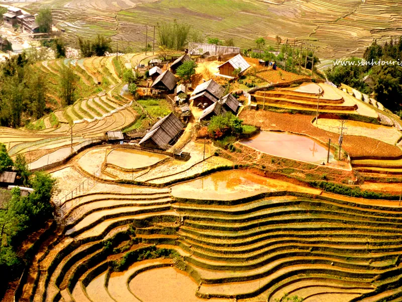 Sapa 3 ngày 2 đêm Lao Chải - Tả Van - Cát Cát - Hàm Rồng (Xe Bus)