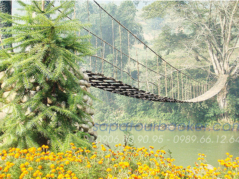 Sapa - Cat Cat - Hotel - Hàm Rồng - Hotel - Tả Van - Cầu Mây - Ga Lào Cai (3 Ngày/2 Đêm)
