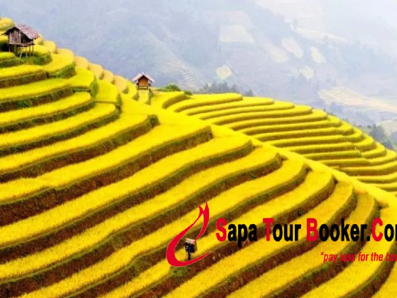 Sapa and Remote Villages Experience