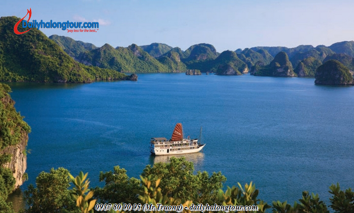 Tại sao Vịnh Hạ Long trở thành địa điểm du lịch nổi tiếng hàng đầu Việt Nam? Tại sao Vịnh Hạ Long trở thành địa điểm du lịch nổi tiếng hàng đầu Việt Nam?