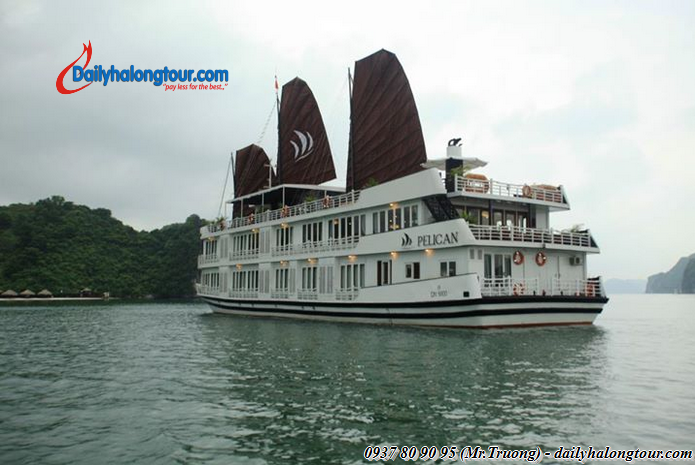 tour du lịch Hà Nội Hạ Long trên du thuyền Pelican tiêu chuẩn 4 sao tour du lịch Hà Nội Hạ Long trên du thuyền Pelican tiêu chuẩn 4 sao