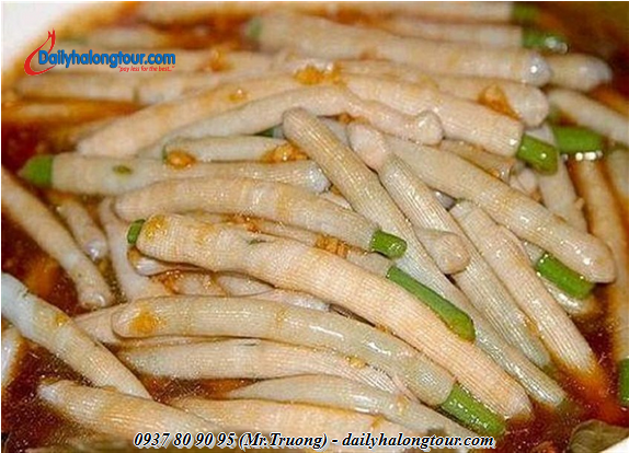 Sa sung is one of the famous specialties only in Ha Long Sa sung is one of the famous specialties only in Ha Long