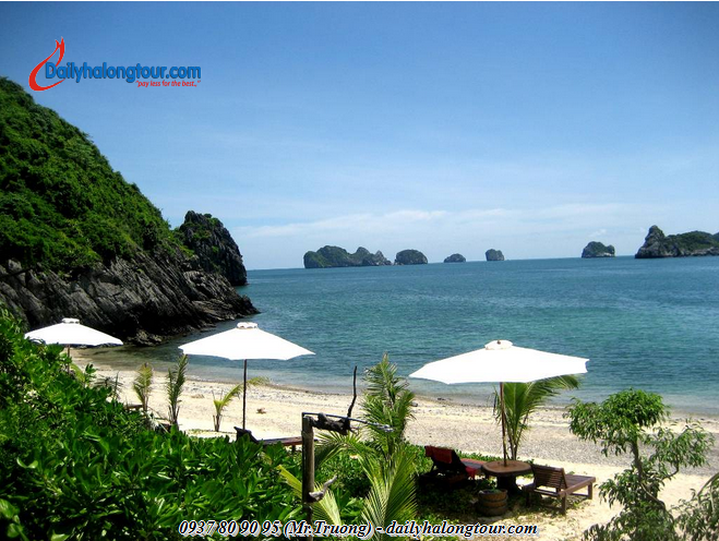 Cách xây dựng tour khoa học và khéo léo chính là ưu điểm của dailyhalongtour Cách xây dựng tour khoa học và khéo léo chính là ưu điểm của dailyhalongtour