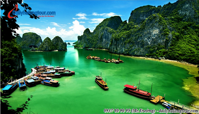 Ha Noi Ha Long tours with a fanciful picture of nature Ha Noi Ha Long tours with a fanciful picture of nature
